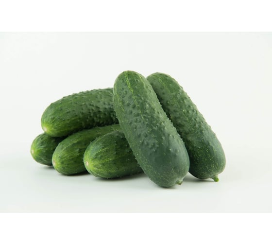 Семена огурца ELITE PLANT-BREEDING & SEED PRODUCTION Co. Кубанец f1 500 шт эс 1070008849
