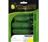 Семена огурца ELITE PLANT-BREEDING & SEED PRODUCTION Co. Посол f1 100 шт эс мини 1026993564 2