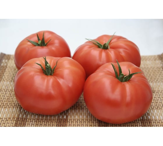Семена крупноплодного томата ELITE PLANT-BREEDING & SEED PRODUCTION Co. Якиманка f1 100 шт эс мини 1026993665