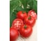 Семена томата ELITE PLANT-BREEDING & SEED PRODUCTION Co. Майдан f1 20 шт эс мини 1999946739 2