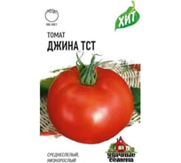 Семена Гавриш Томат Джина ТСТ 0,05 г х3 1071858437