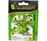 Семена розмарина ELITE PLANT-BREEDING & SEED PRODUCTION Co. Бирюса 10 г эс мини 1026995259 3