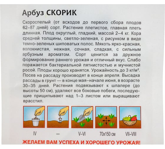 Арбуз ГАВРИШ Скорик 1 г 10009051