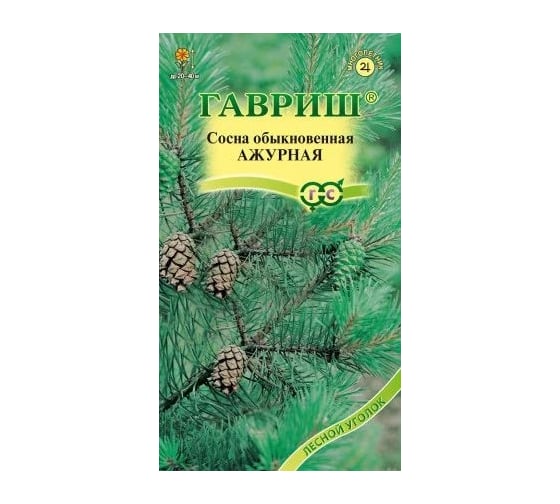 Сосна обыкновенная ГАВРИШ Ажурная 0,2 г 004977 1