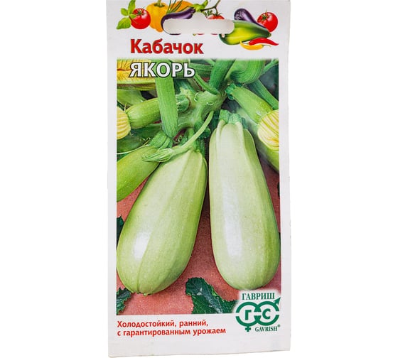 Кабачок ГАВРИШ Якорь 2 г 10006272