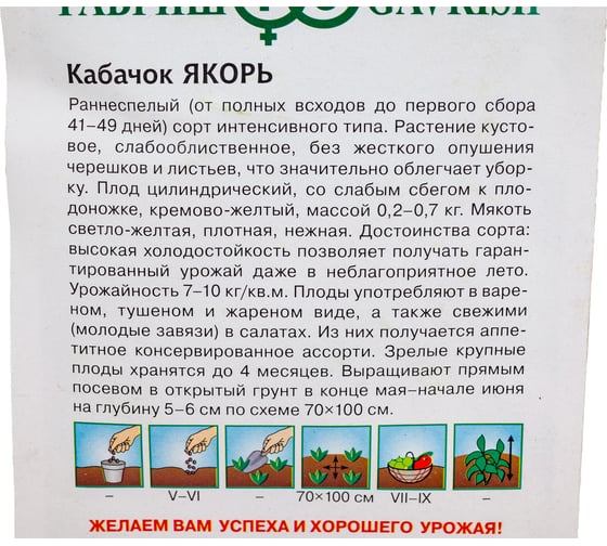 Кабачок ГАВРИШ Якорь 2 г 10006272