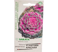 Капуста ГАВРИШ декоративная, Нагойя красная 6 шт, Саката серия Эксклюзив 1071858736