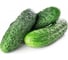 Семена Гавриш Огурец Король грядки F1 0,3 г 10003518 3