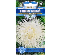Семена ГАВРИШ Астра Голиаф белый Русский богатырь однолетняя (игольчатая), 0.3 г 1999949489