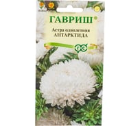 Семена ГАВРИШ Астра Антарктида, однолетняя (пионовидная белая), 0.3 г 002698