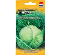 Семена ГАВРИШ Капуста белокочанная Вестри 10 шт., для квашения, Голландия 1910641
