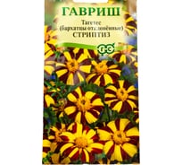 Семена ГАВРИШ Бархатцы отклоненные Стриптиз (Тагетес) 0.3 г 002752