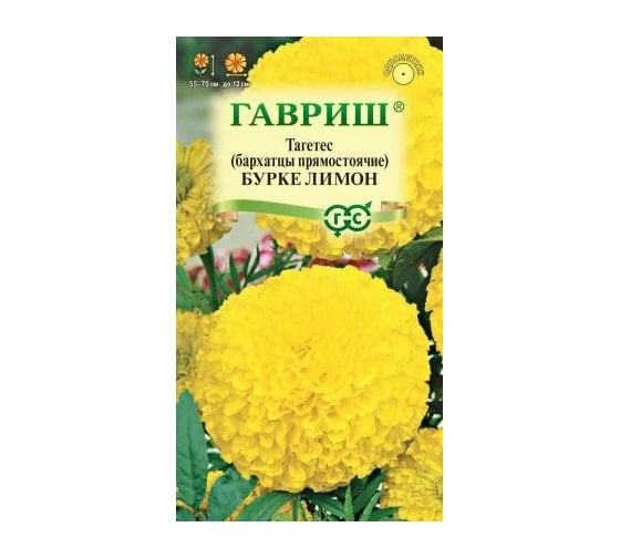Семена ГАВРИШ Бархатцы прямостоячие Бурке Лимон (Тагетес) 0.3 г 191222997 1
