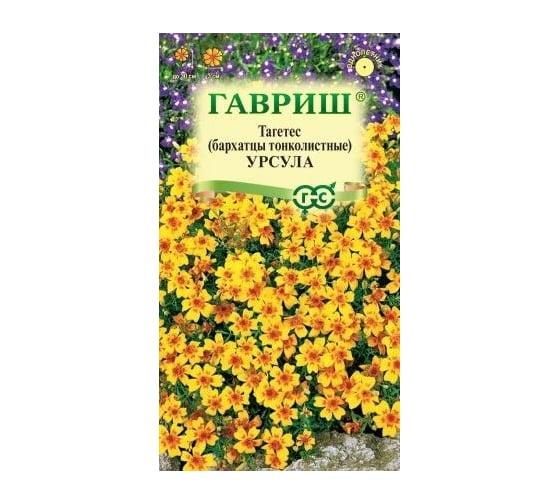 Семена ГАВРИШ Бархатцы тонколистные Урсула золотисто-желтая (Тагетес), 0.05 г 005593