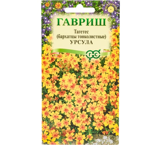 Семена ГАВРИШ Бархатцы тонколистные Урсула золотисто-желтая (Тагетес), 0.05 г 005593