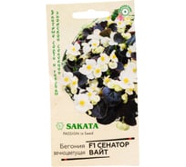 Семена ГАВРИШ Бегония Сенатор Вайт вечноцв. Саката Элитная клумба 5 шт. 107079525