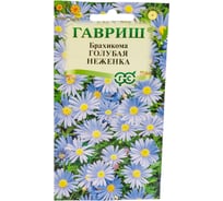 Семена ГАВРИШ Брахикома Голубая неженка 0.02 г 1071856819