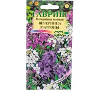 Семена ГАВРИШ Вечерница обыкновенная (Хесперис) Вечерница Матроны смесь, 0.5 г 1071862170