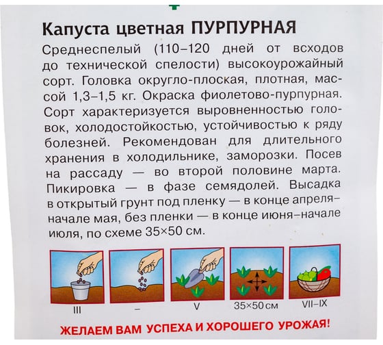 Семена ГАВРИШ Капуста цветная Пурпурная 0.2 г 4601882