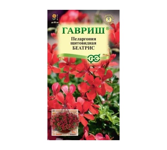 Пеларгония ГАВРИШ Беатрис, ампельная 3 шт. 107185009
