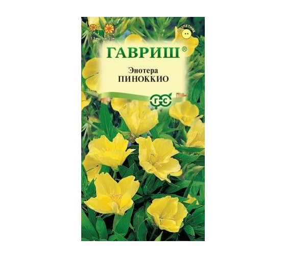 Энотера ГАВРИШ Пиноккио (двулетняя) 0,3 г 4603913