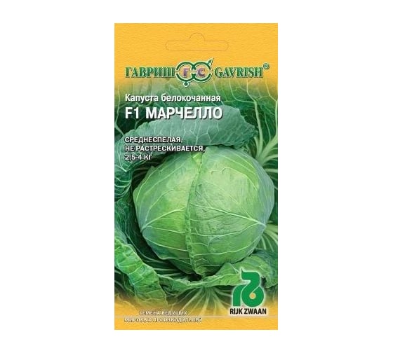 Капуста ГАВРИШ белокочанная, Марчелло, 10 шт, для квашения (Голландия) 1999942105 1