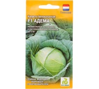 Капуста ГАВРИШ белокочанная, Адема, РЗ F1, 10 шт, ранняя (Голландия) 11000423