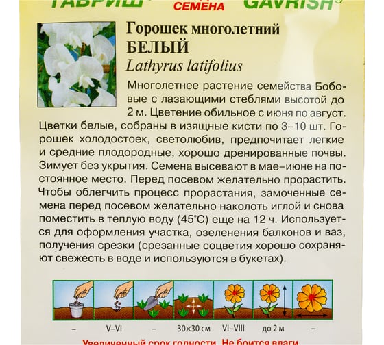 Чина ГАВРИШ посевная, декоративная, (Горошек многолетний) Белый 0,5 г 4813