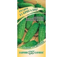 Огурец ГАВРИШ Бригадир 10 шт. 1912237961