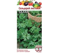 Сельдерей ГАВРИШ листовой Захар 0,1 г 1071856619