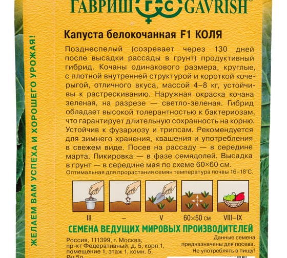 Капуста ГАВРИШ белокочанная Коля 10 шт, для квашения (Голландия) 1910644