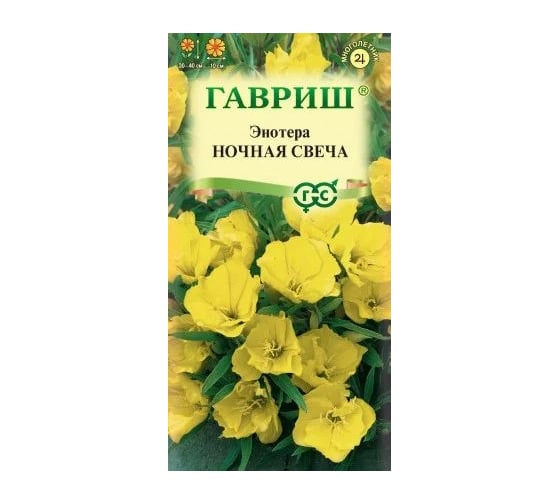 Энотера ГАВРИШ Ночная свеча (миссурийская) 0,2 г 1718