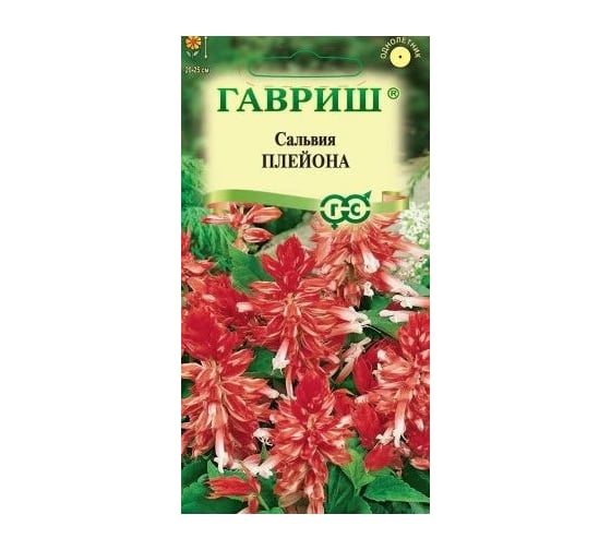 Сальвия ГАВРИШ Плейона карликовая 4 шт 1071858186 1