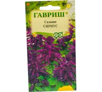 Сальвия ГАВРИШ Сириус, карликовая 4 шт 1071858190