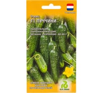 Огурец ГАВРИШ Пуччини 5 шт (Голландия) 11000451