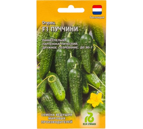 Огурец ГАВРИШ Пуччини 5 шт (Голландия) 11000451
