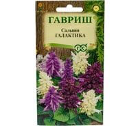 Сальвия ГАВРИШ Галактика, карликовая, смесь 6 шт 1071858175