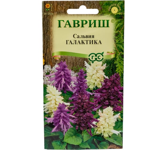 Сальвия ГАВРИШ Галактика, карликовая, смесь 6 шт 1071858175 1