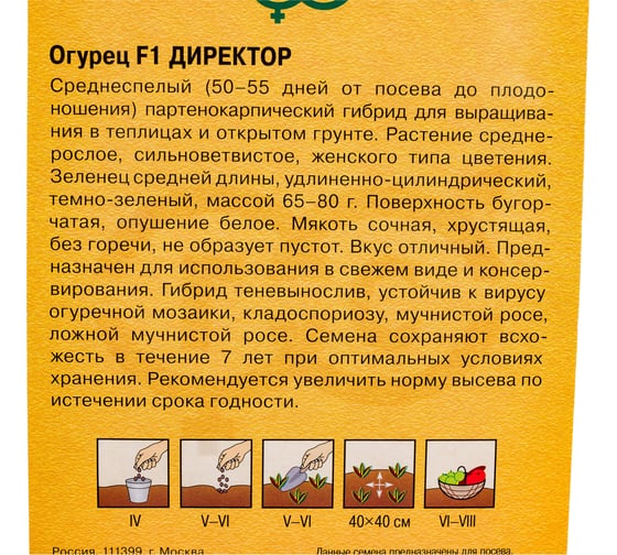 Семена ГАВРИШ Огурец Директор 5 шт., Голландия 1999948923