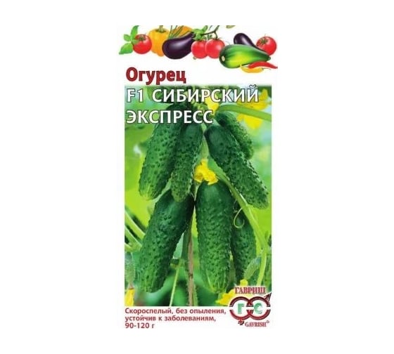 Семена ГАВРИШ Огурец Сибирский экспресс 10 шт., авторские 1999945296
