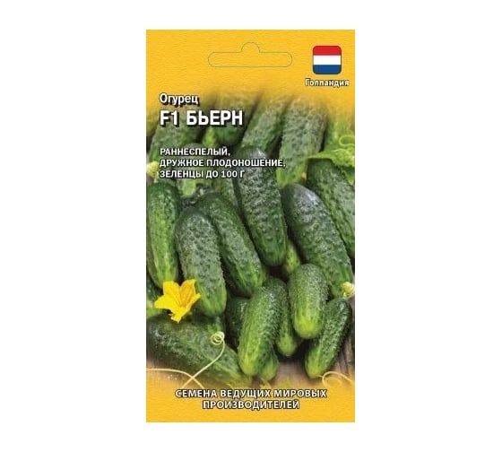 Семена ГАВРИШ Огурец Бьерн 5 шт., Голландия 1026994541