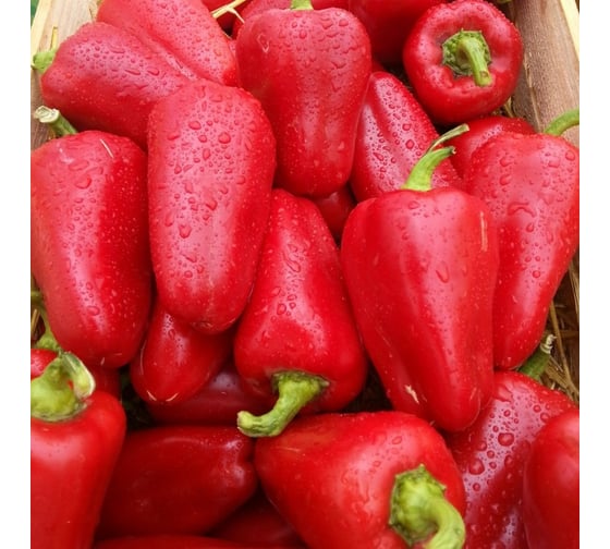 Семена Гавриш Перец Бабушкина грядка 0.1 г 1071858071