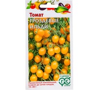 Томат ГАВРИШ Гроздевые Ильди 0,05 г 1071856661