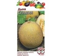 Дыня ГАВРИШ Славия 1 г DH 1999946622