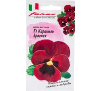 Виола ГАВРИШ Карамель красная F1, Виттрока Анютины глазки, 7 шт, серия Фарао 1071857376