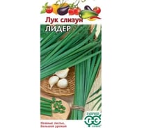 Семена ГАВРИШ Лук слизун Лидер 0.5 г 10001630