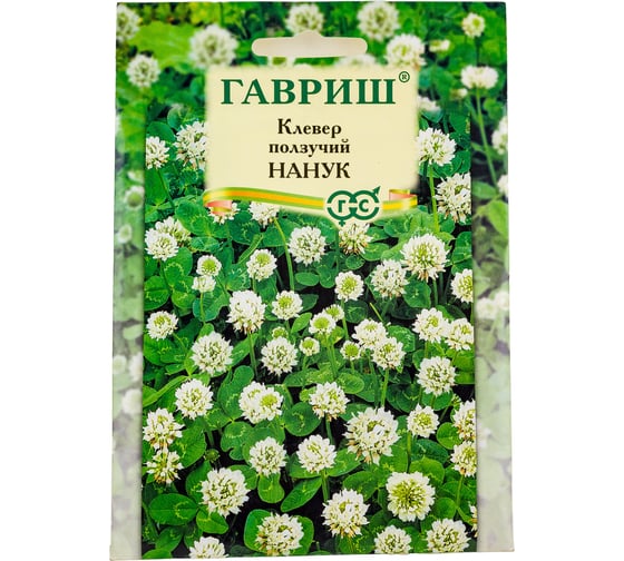Клевер ГАВРИШ ползучий белый, Нанук большой пакет 20 г 4210