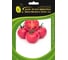 Семена ELITE PLANT-BREEDING & SEED PRODUCTION Co. Монами f1 томата 100 шт эс мини 1071863087 1