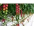 Семена ELITE PLANT-BREEDING & SEED PRODUCTION Co. Монами f1 томата 100 шт эс мини 1071863087 2
