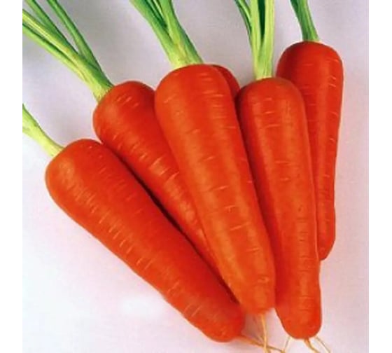 Семена ELITE PLANT-BREEDING & SEED PRODUCTION Co. Кентавр моркови 20 г эс мини 1071860814